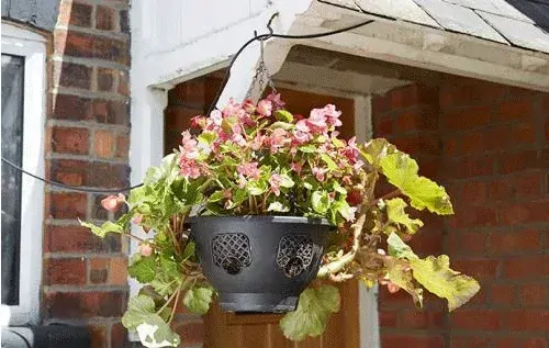 Solární automatické zavlažování Sol C-24 s rozšiřující sadou 12 odkapávačů