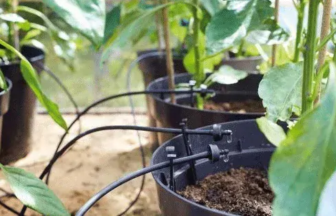 Solární automatické zavlažování Sol C-24 s rozšiřující sadou 12 odkapávačů