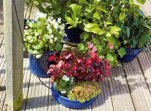 Solární automatické zavlažování Sol C-24 s rozšiřující sadou 12 odkapávačů